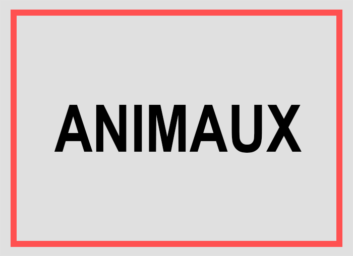 T-shirts, sweats, accessoires Animaux