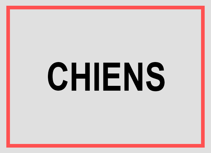T-shirts, sweats, accessoires Chiens.